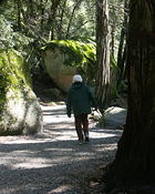 yosemite mawsie hikes