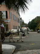 Downtown charleston 001