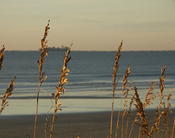 Tankers off Isle of Palms