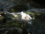sun on rapids