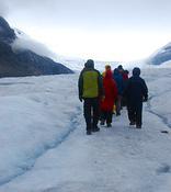 glacier trakking