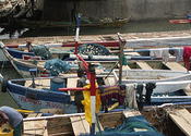 Cape Coast boats in