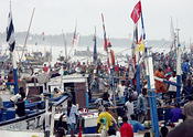 Cape Coast boats