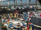 boats in the evining