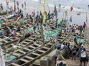 boats on shore