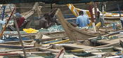 fixing nets