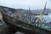lines of boats at home