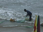 nets on shore