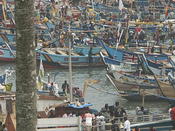 tangle of boats