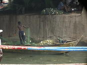tending the nets