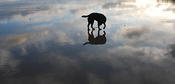 The sky Above