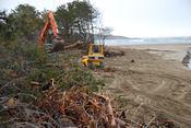 loader and bulldozer 2