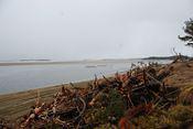looking to morse s river from park