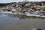 tidal pool in front of cottage