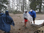 IMG 0075