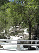 IMG 0092