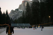 rink