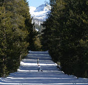ski