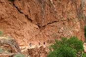 IMG 0108
