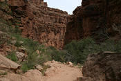 IMG 0105