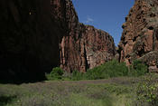 IMG 0145