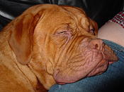 DSC01886