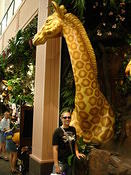 giraffe