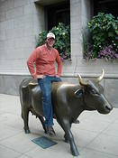 thebull