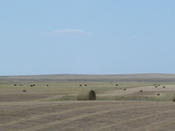 southdakota