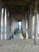 boardwalk