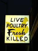 poultry