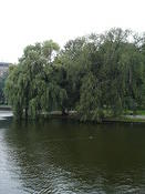 scenery