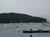 the harbour