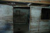 DSC 7253