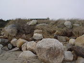 DSC04029