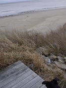 DSC04047