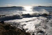 IMG 0119