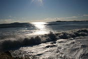 IMG 0120
