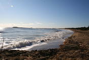 IMG 0127
