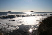 IMG 0186