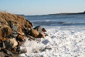 IMG 0201
