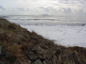 DSC04061