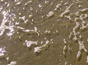 Foam3
