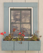 Window