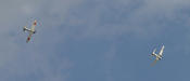 air zero dauntless 2