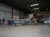 p51 3