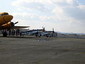 p51s