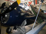 wildcat