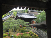 IMG 6412