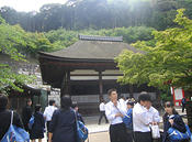 IMG 6417